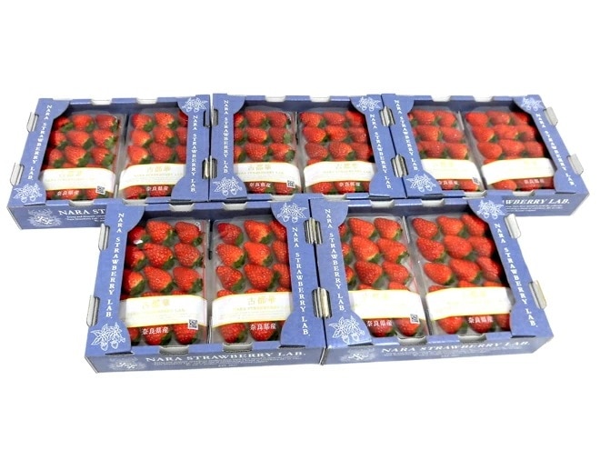 奈良県産 =古都華いちご= 2pc x5箱（1pcあたり 約300g）予約 1月以降