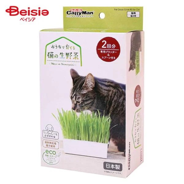 �L���e�B�[�}�� �������ň�Ă�L�̐���� 2��