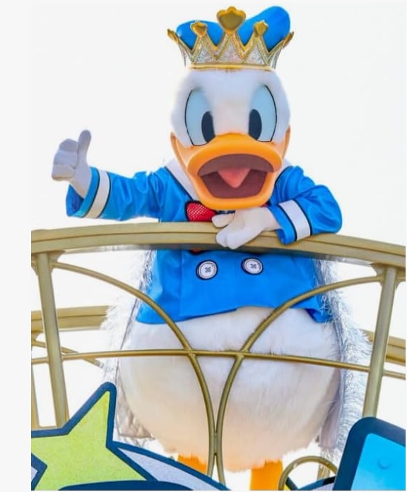 ディズニー・パルパルーザ ドナルド コスプレ衣装+しっぽ