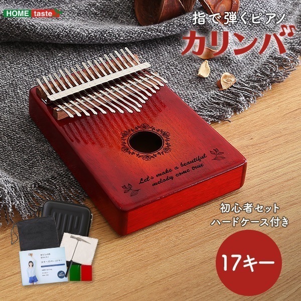 指で弾くピアノ カリンバ初心者セット　絵柄付きタイプ　ハードケースつき 5,621円
