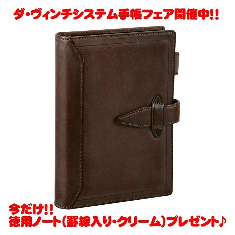 【ラッピング無料】 レイメイ藤井 Raymay ダヴィンチグランデ ロロマクラシック ダヴィンチ ダークブラウン 聖書 サイズ システム手帳 リング24mm DB3014E
