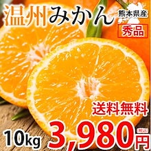 みかん 10kg 温州みかん 秀品 熊本県産 蜜柑 ミカン