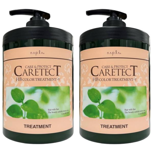 ナプラ ケアテクト HB カラー トリートメント V ハリ・コシタイプ 650g 2個セット