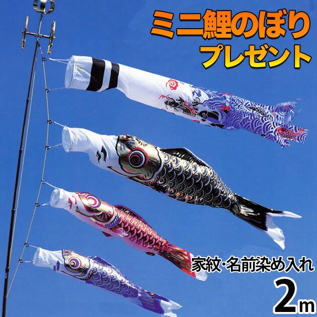【廃盤】鯉のぼり こいのぼり 鯉のぼり ﾍﾞﾗﾝﾀﾞ用 こいのぼり ﾍﾞﾗﾝﾀﾞ用 ﾏﾝｼｮﾝ 取付金具付 家紋名前 染入れ 川尻金龍ﾃﾞｻﾞｲﾝ 昇龍 送料無料 ｺﾝﾊﾟｸﾄ ﾐﾆ新作