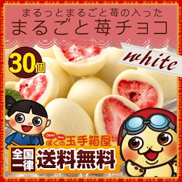 🍓まるごと苺チョコ🍓30個入 イチゴまるごとチョコレート いちごのトリュフフリーズドライ 苺 【送料無料】 1粒1粒が個包装になっているので保存も便利‼