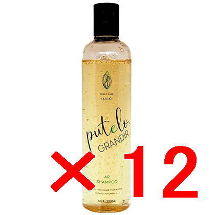 【送料無料】【正規品販売商品】プテロ putelo ／ プテロ AR シャンプー グランディール 300ml 【12個セット】／ スカルプシャンプー ／ フレッシュな植物エキス