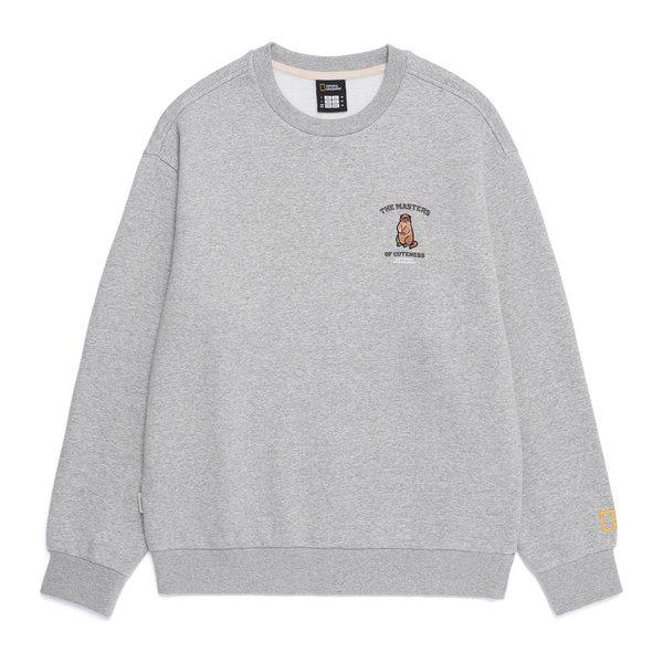 N254USW930 アニマルグラフィックTシャツ M/GREY