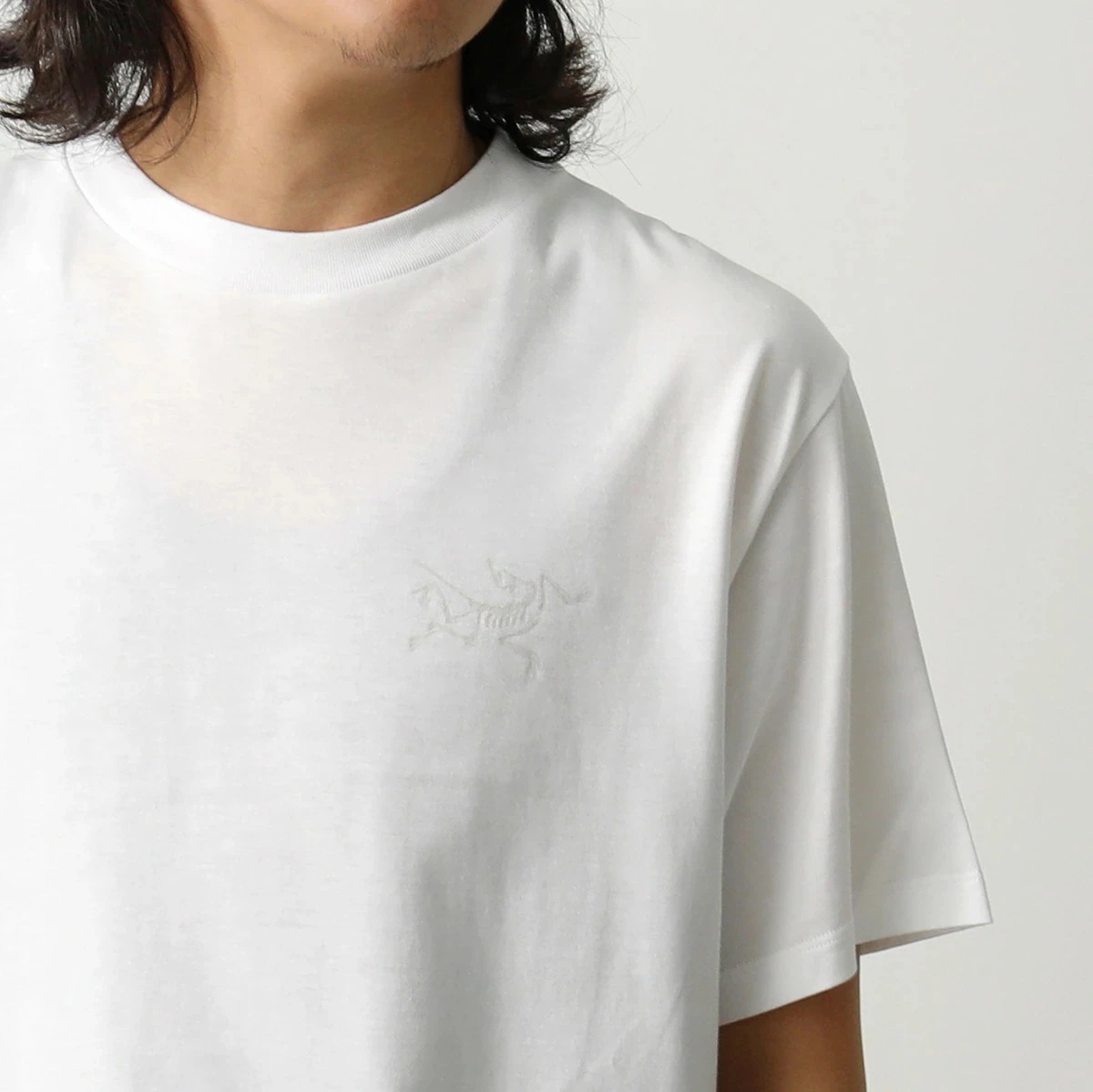 ARCTERYX アークテリクス Tシャツ Kragg SL Cotton SS M クラッグ X000009533 メンズ 半袖 カットソー コットン ロゴ クルーネック カラー2色