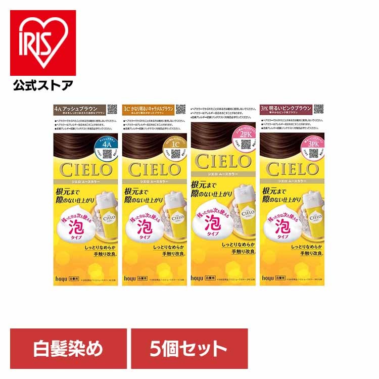 【イチオシ商品】【5個】ムースカラー