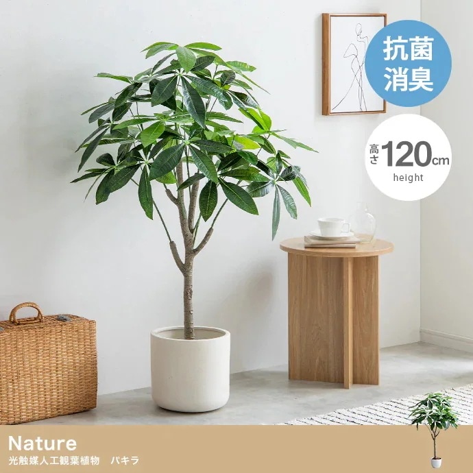 観葉植物 フェイクグリーン 光触媒 パキラ 高さ120cm 8,416円