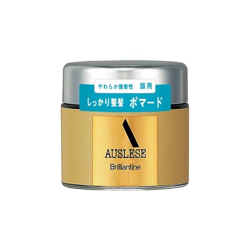 資生堂 アウスレーゼ ブリランチンN 80g【3個セット】