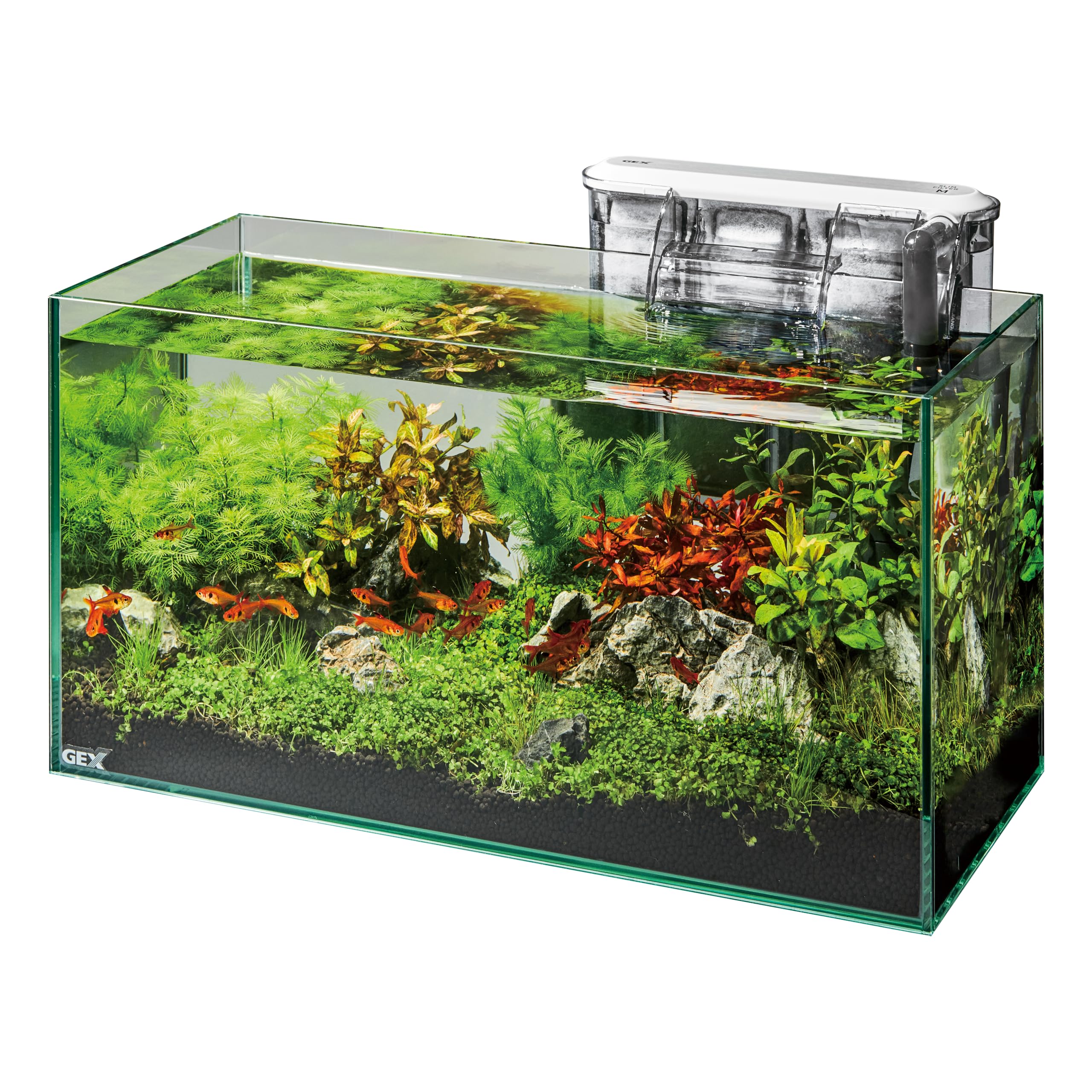 GEX ジェックス グラステリアスリム450 6点セット DCポンプ フレームレス水槽 W45×D20×H22cm 約17L【EC】