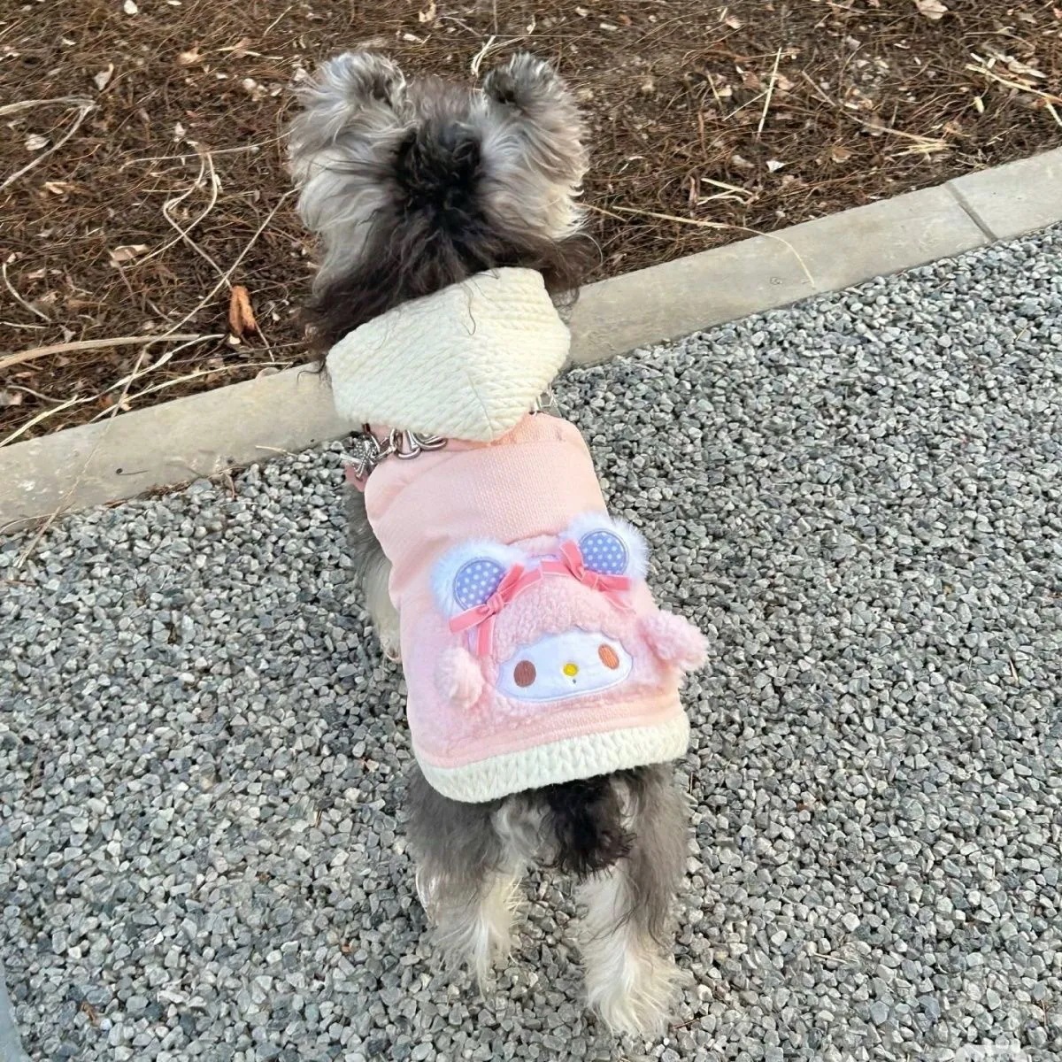 犬猫テディベアビションフリーゼポメラニアンプードルシュナウザー用の秋冬服 - 暖かくてかわいいペット服