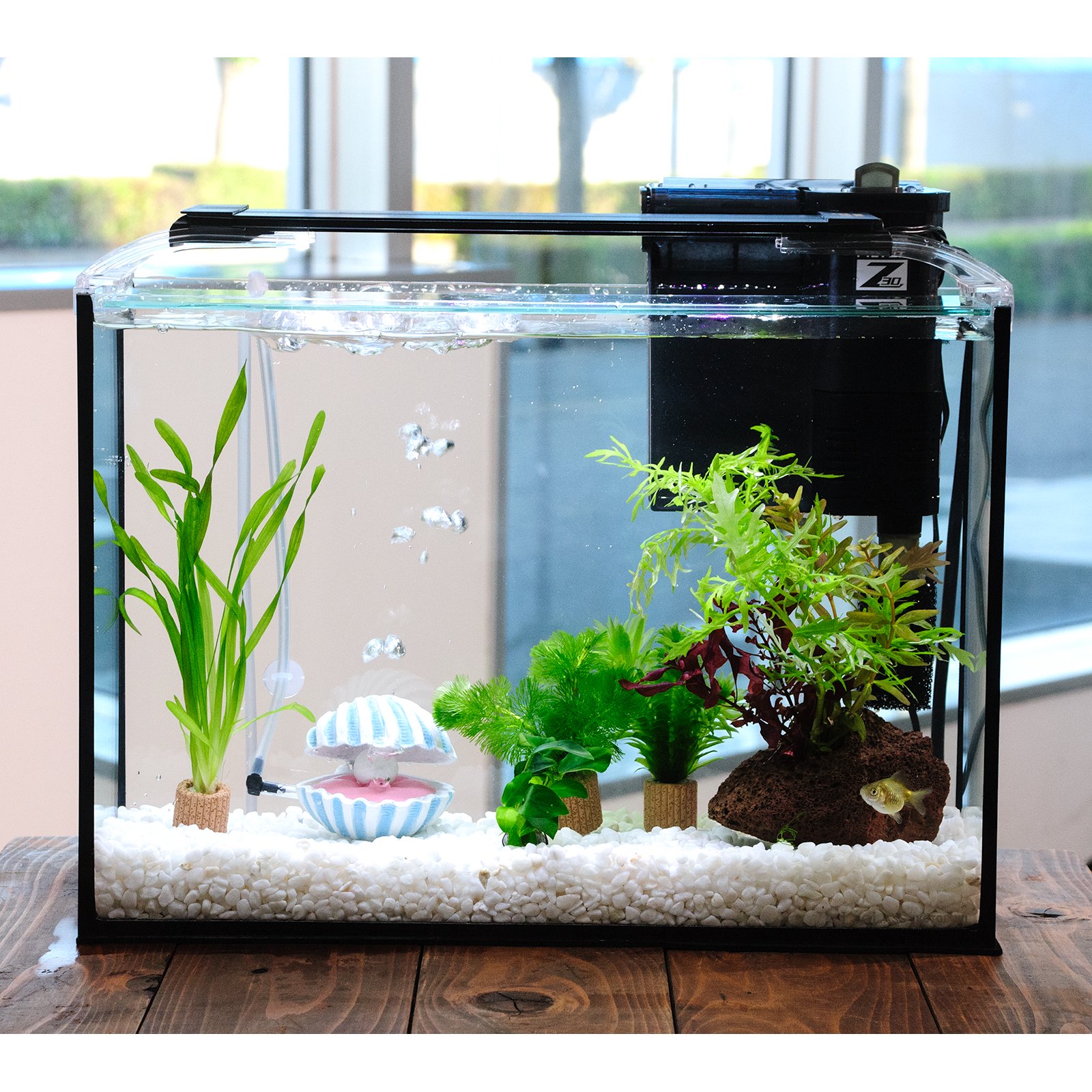 （国産金魚）（水草）簡単ピンポンパール飼育水草レイアウトセット　４０ｃｍ水槽　真珠貝ｖｅｒ．　本州四国限定　ＣＲＣ10―11―03―30―20