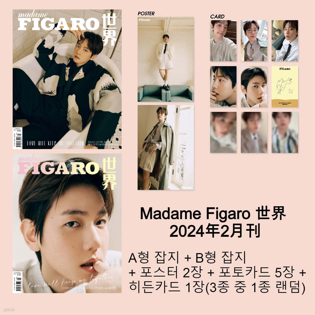 (公式特典つき) (選択) 中国雑誌 madame FIGARO 24年2月 表紙：EXO Baekhyeon
