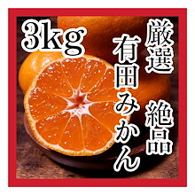 有田みかん ご家庭用 和歌山県産 サイズ混合 訳あり　3kg(箱込み)
