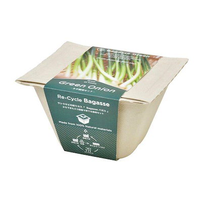 他サイト： 聖新陶芸 4528757039785 GD－95305 バガスグリーン ネギの商品画像