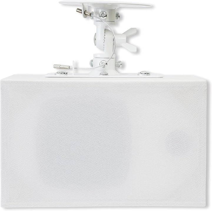 ダイトーボイス 天吊りスピーカー DVT-WD1 シングルスピーカー壁掛け 天井ブラケット付き 定格15w-最大20W 小型 店舗スピーカー 4ω 白1個( ホワイト, １個)