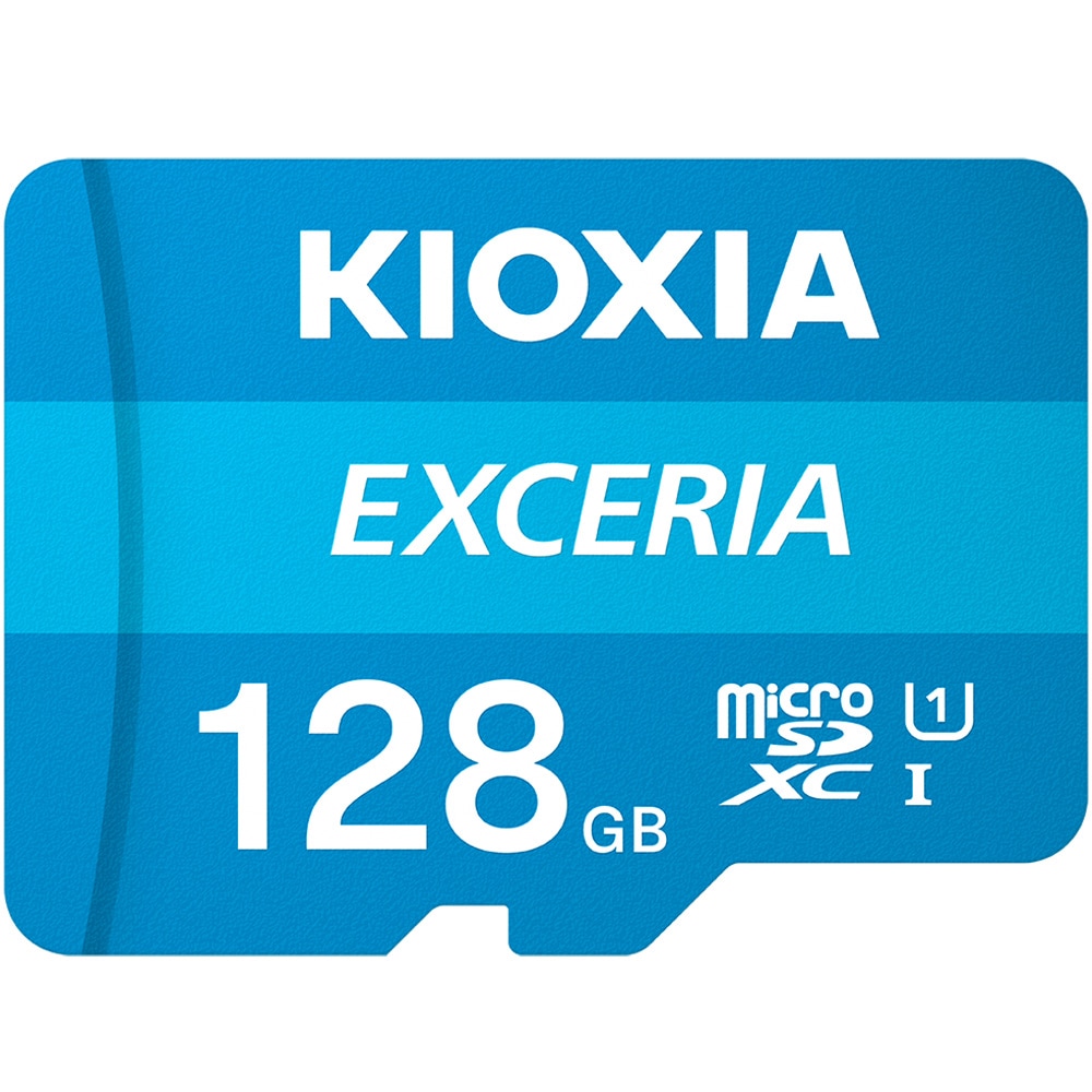 ■キオクシア　EXCERIA PLUS KSDH-A512G [512GB]