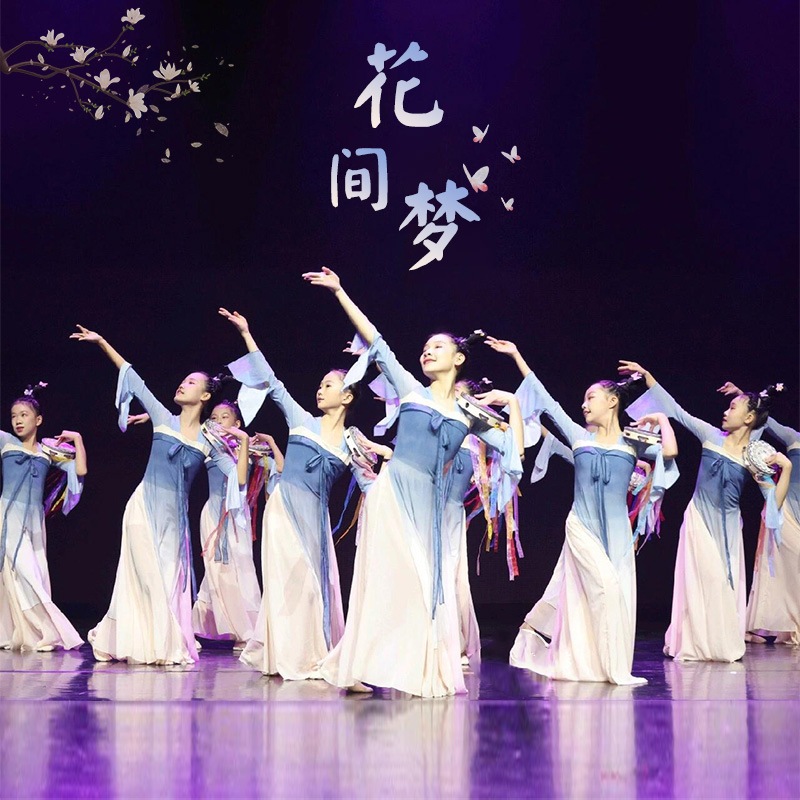 Huajianmeng ダンス衣装古典舞踊パフォーマンス衣装女の子のエレガントなグループダンスグループファンダンス小道具中国舞踊衣装 6,296円