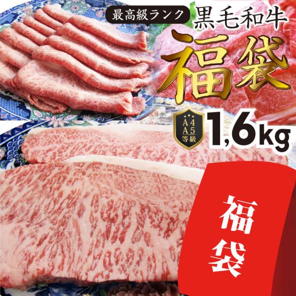 牛肉 肉 特松 福袋 黒毛和牛 A4 A5等級のみ使用 1.6kg 凍眠 テクニカン 肉の福袋 3種 超豪華福袋セット 母の日 ギフト 食品 お祝い