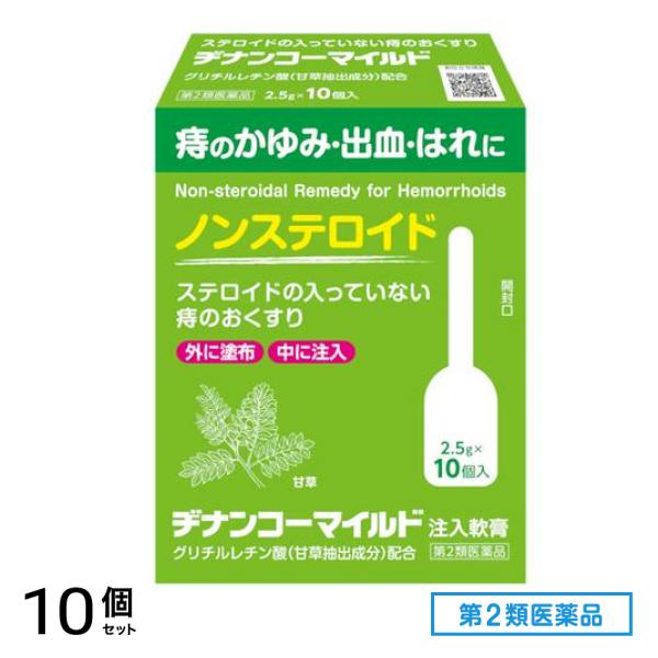 第２類医薬品 ヂナンコーマイルド 注入軟膏 2.5g× 10個入 10個セット