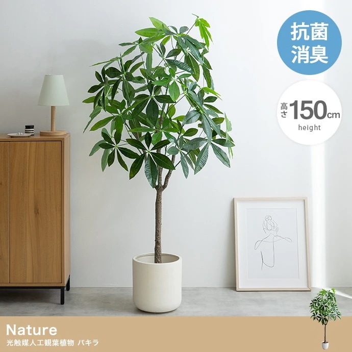 大型サイズ 観葉植物 フェイクグリーン 光触媒 パキラ 高さ150cm