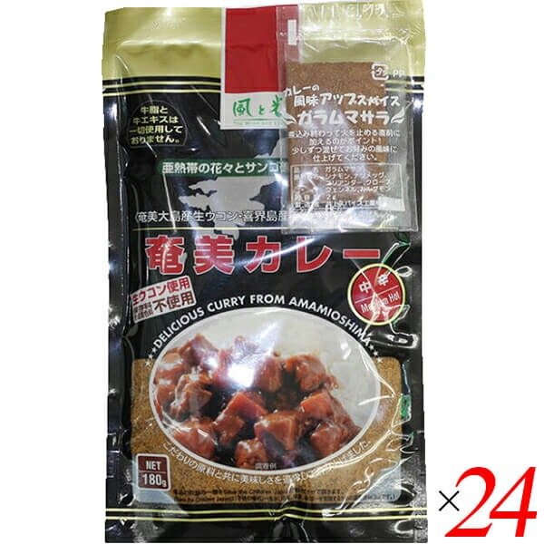 カレー カレールー レトルト 風と光 奄美カレー 中辛 180g 24袋セット