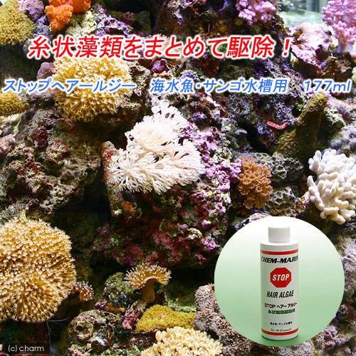 ストップ　ヘアーアルジー　海水魚・サンゴ水槽用　２５０ｍｌ　ＣＲＣ10―35―45―50―00