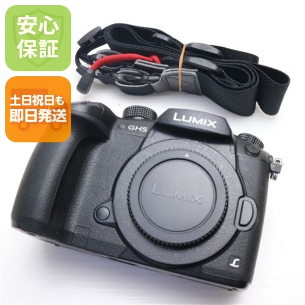 超美品 DC-GH5 ボディ ブラック 74