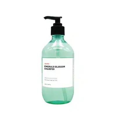 LMグラフェン ver.2➕オーシャン　シャンプー ADAM'S POLISHES Adam's Graphene Shampoo|グラフェンシャンプー