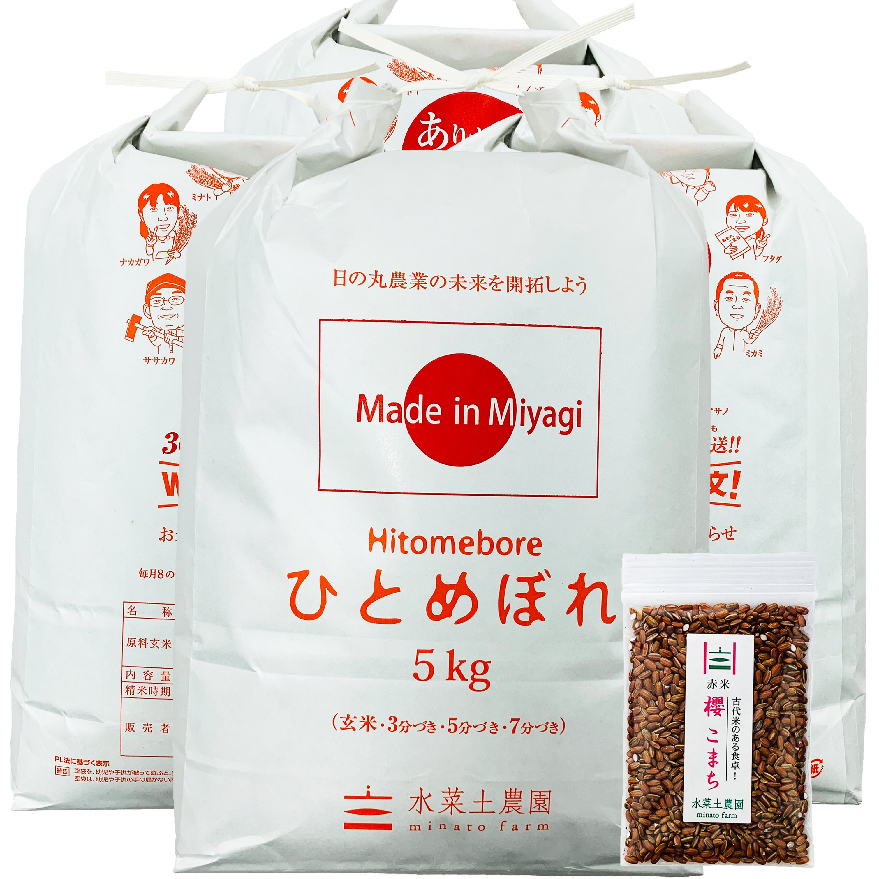 超美品の ひとめぼれ 精米 令和3年産 宮城県産 20kg(5kg4袋) ひとめぼれ - flaviogimenis.com.br