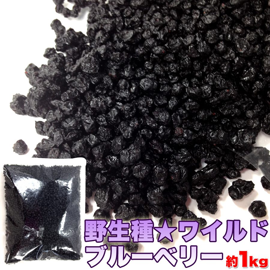 ワイルドブルーベリー 野生種 大容量 1kg ドライフルーツ アメリカ産 無添加 無着色 6,488円