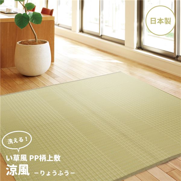 い草風 上敷き/ラグマット PP柄 本間 3帖 日本製 洗える オールシーズン対応 涼風 りょうふう リビング 9,181円