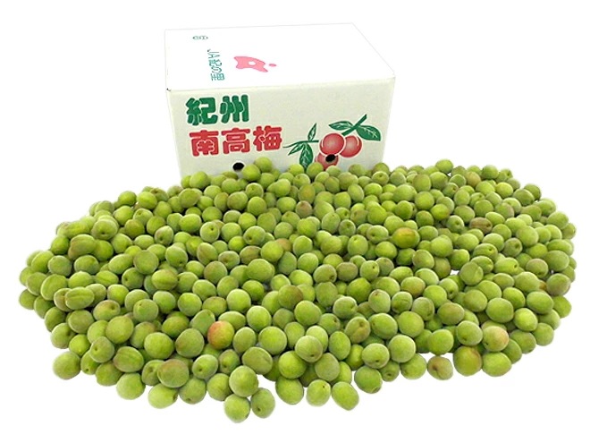 奈良/和歌山産 =南高梅= ちょっと訳あり 約10kg 大きさおまかせ 予約 6月初旬以降