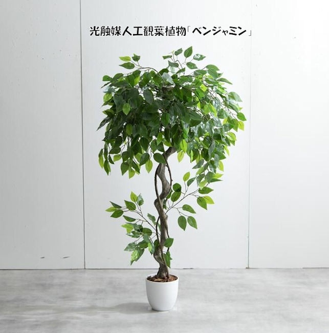 光触媒人工観葉植物ベンジャミン 造花 人工植物 フェイクグリーン（1273）