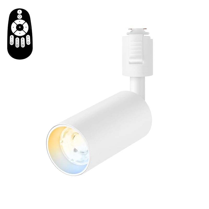 ANWIO スポットライト ダクトレール用 10W（60W形相当） リモコン付き ライティングレール用 LED内蔵式 北欧 コンセント 壁 天井 おしゃれ 電球色 昼白色 屋内照明 LED一体型照明