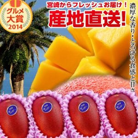宮崎完熟マンゴー大玉4玉入り 宮崎からお届けする南国の香り・とろける美味しさ がいっぱいの完熟マンゴー お中元 青果物 フルーツギフト 父の日