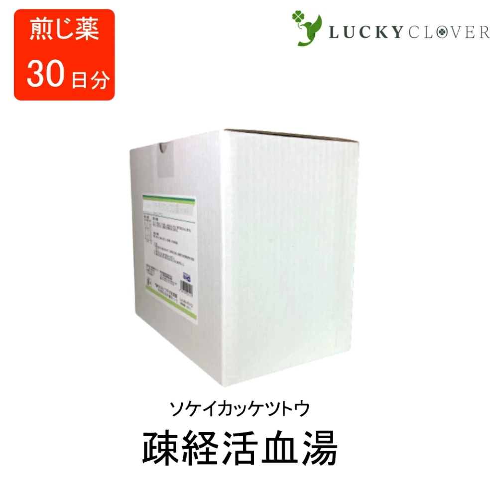 【第2類医薬品】疎経活血湯 ソケイカッケツトウ 煎じ薬 30日分 ウチダ和漢薬 関節痛 神経痛 腰痛 筋肉痛