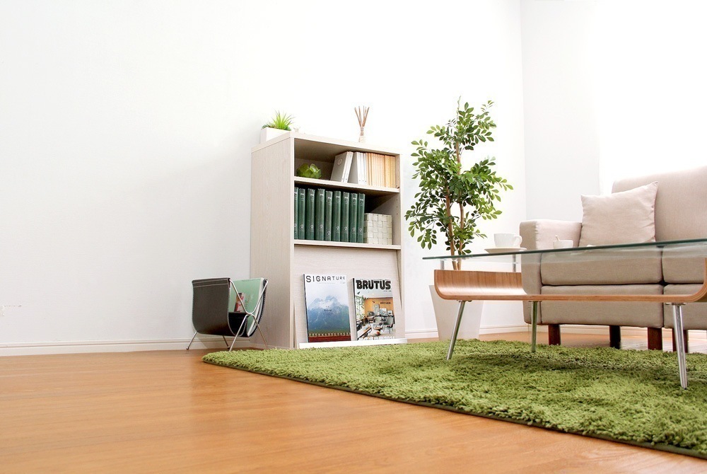 ラック 棚 木目柄 木製 おしゃれ 北欧モダン カラーボックス フラップ扉 抗菌防臭有害物質分解 サイドボード キャビネット マガジンラック 省スペース