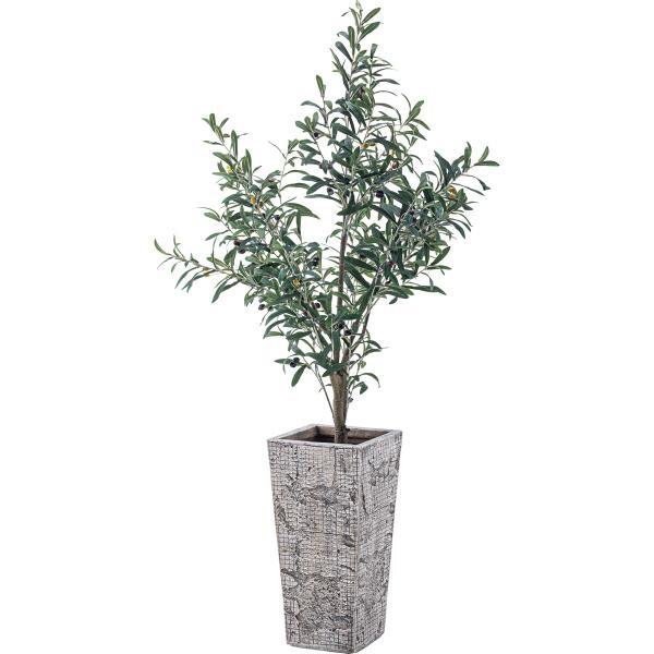 プランター 植木鉢 5号用 おしゃれ モダン シンプル グリーンポット 鉢植え 安い 人気 ギフト プレゼント