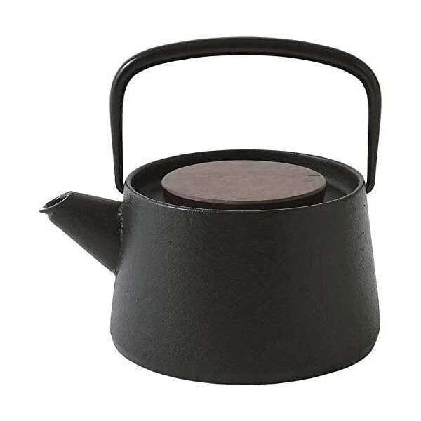 【即納】tetu 急須（南部鉄器） 池永鉄工 南部鉄器 0.56L 鉄 鋳鉄 IH対応 鉄分デザイナーズコレクション キッチン雑貨 新生活 ギフト