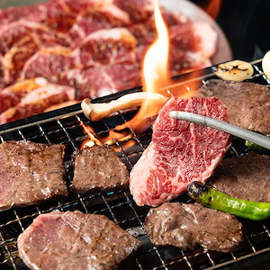 牛 ハラミ 焼肉 3kg(250gx12P)