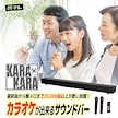 共同テレビジョン KARA-A2023 KARA×KARA カラオケサウンドバー