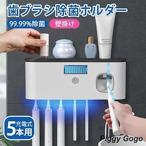 歯ブラシ 除菌 乾燥 除菌器 壁掛け除菌ケース USB 充電式 軽量 静音 UV 歯ブラシホルダー 除菌乾燥機 清潔 自動除菌 ケース 収納