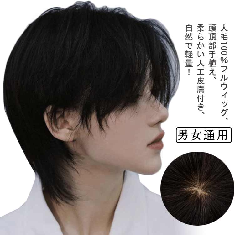 フルウィッグ ウイッグ 人毛100％ メンズ 男性 かつら 自然 ビジネス用 人毛 ナチュラル ショート カツラ 黒髪 短髪 医療用 白髪隠し ボリュームアップ 普段使い 軽量 通気性 ヘアスタイリン
