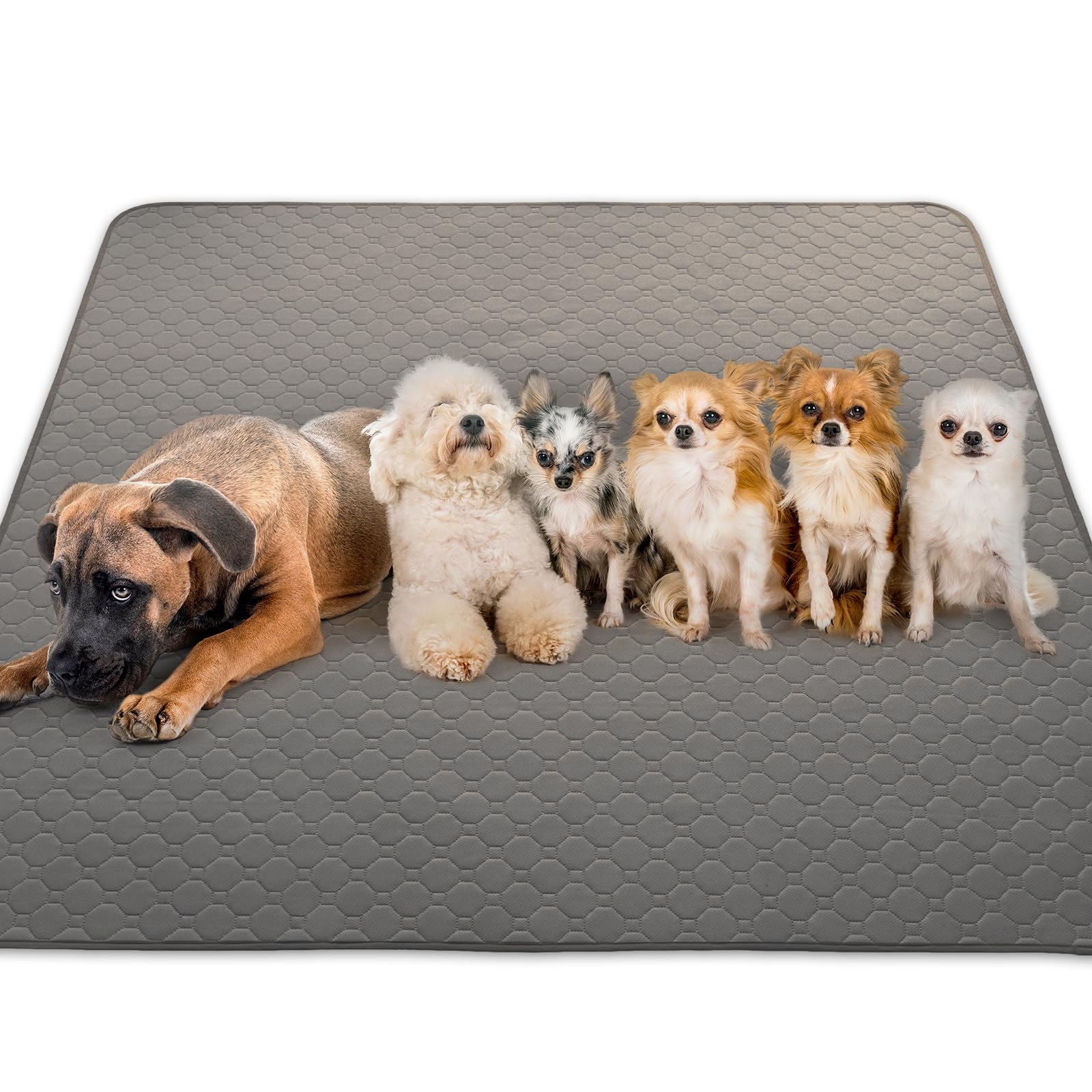 INULABO(イヌラボ) 洗える ペットシーツ ビッグ おしっこマット ペットマット 丸ごと洗える 繰り返し使える 【高耐久 (4XL 165*122cm ホワイト)