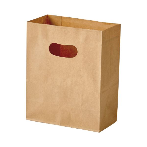 （まとめ）パックタケヤマ 手提げ紙袋 イーグリップ茶無地 S XZT52023 1パック(50枚)(×10セット)