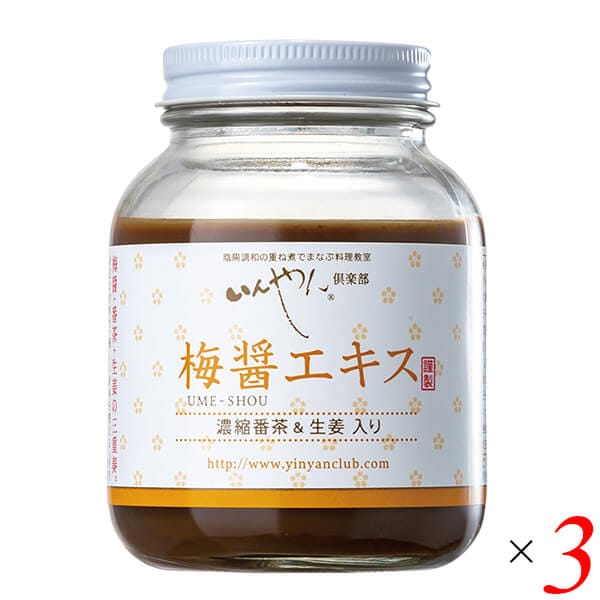 梅醤エキス 濃縮番茶＆生姜入り 250g 3個セット いんやん倶楽部