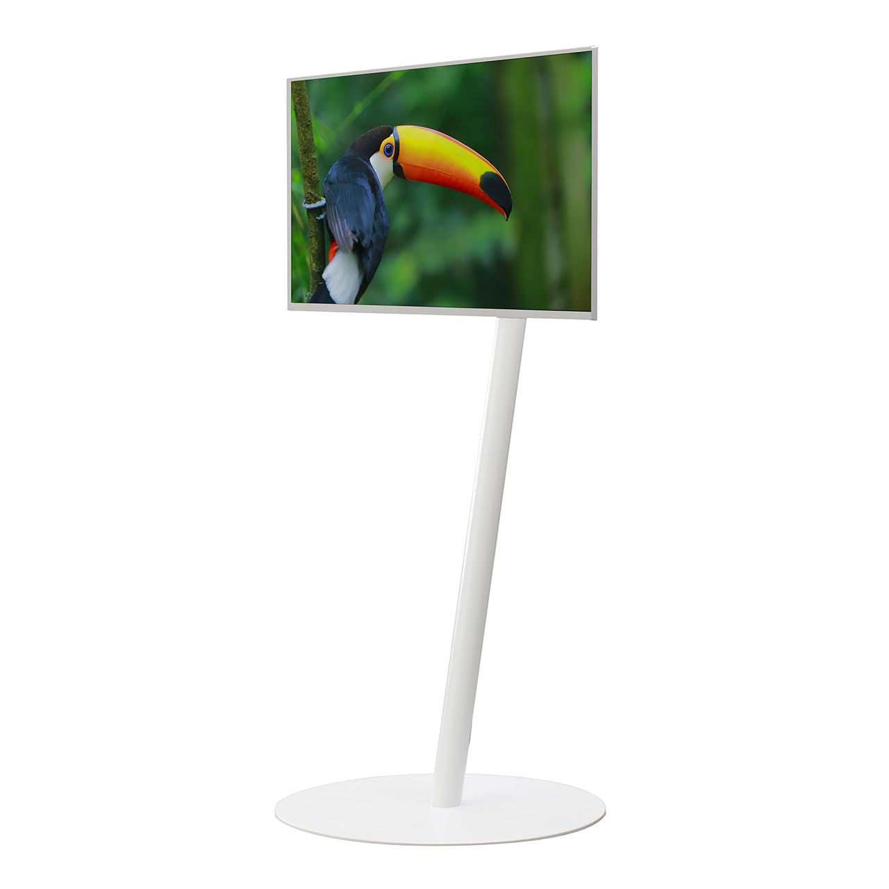 EQUALS イコールズ テレビ台 自立型 テレビスタンド WALL A2 FLAT BASE ハイタイプ 24型55型対応 サテンホワイト